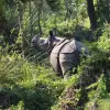 Chitwan Wildlife Adventure Tour